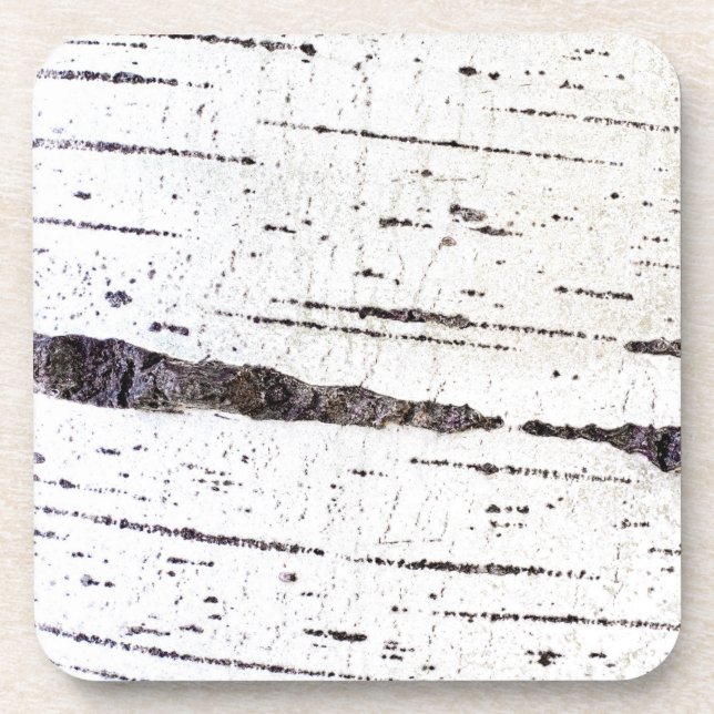 Birch bark pattern coaster (Front)