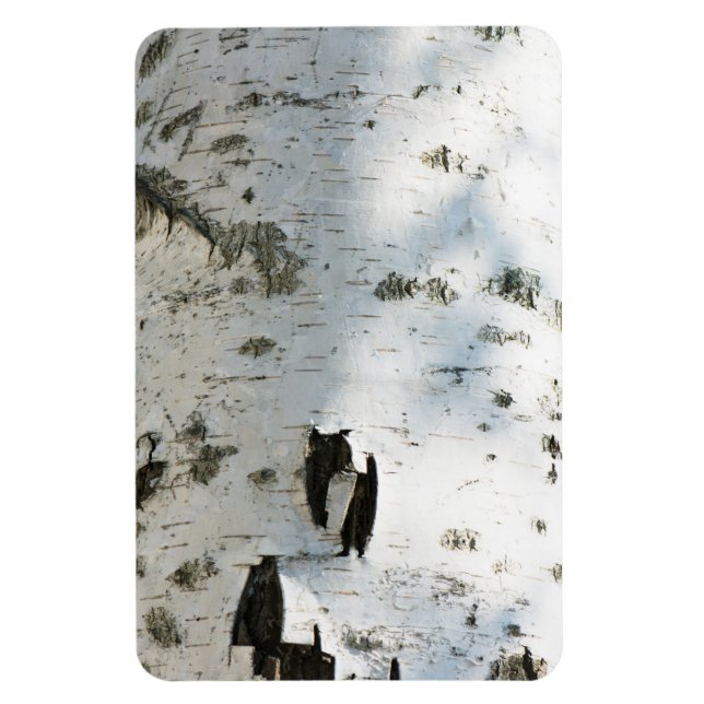 Birch bark pattern magnet (Vertical)