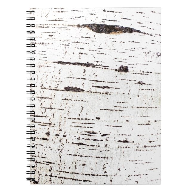 Birch bark pattern notebook (Front)