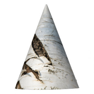 Birch bark pattern party hat