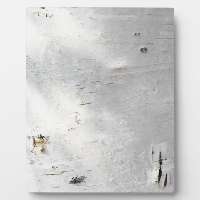 Birch bark pattern plaque (Front)