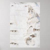Birch bark pattern