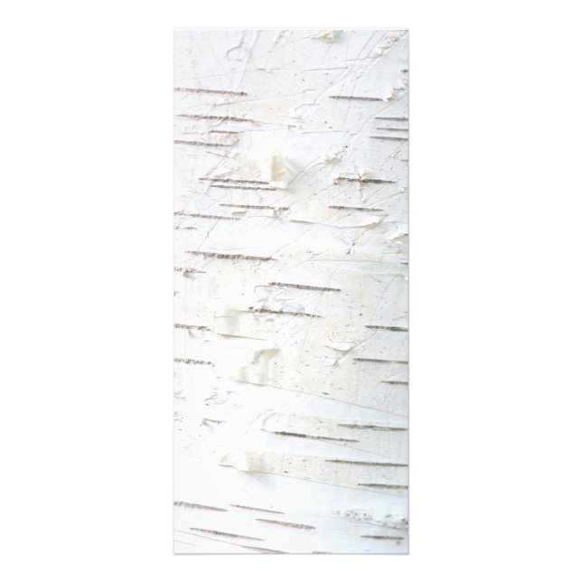 Birch bark pattern rack card (Front)