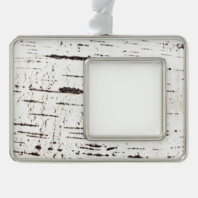 Birch bark pattern silver plated framed ornament (Front)