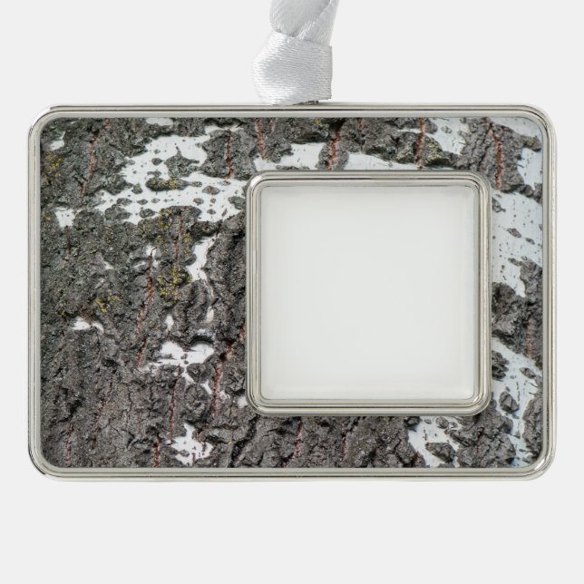 Birch bark pattern silver plated framed ornament (Front)