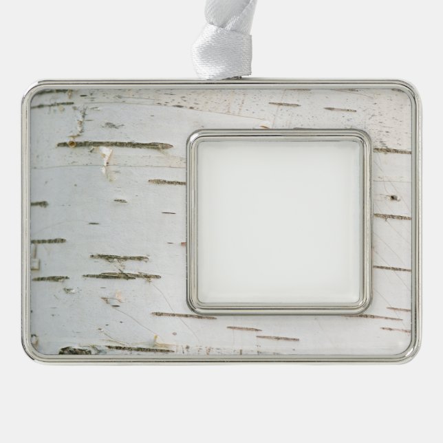 Birch bark pattern silver plated framed ornament (Front)