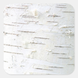 Birch bark pattern square sticker
