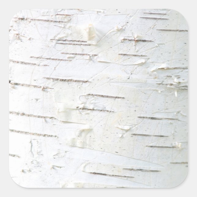Birch bark pattern square sticker (Front)