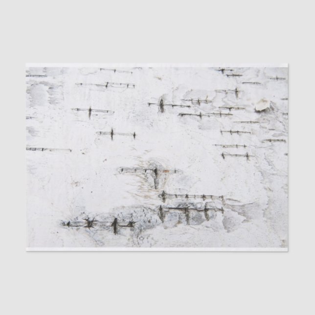 Birch bark pattern tissue paper (Front)