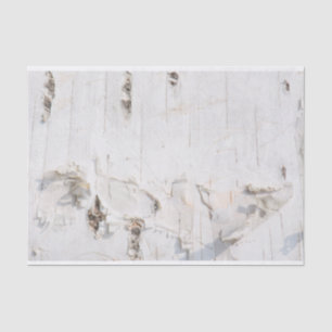 Birch bark pattern tissue paper