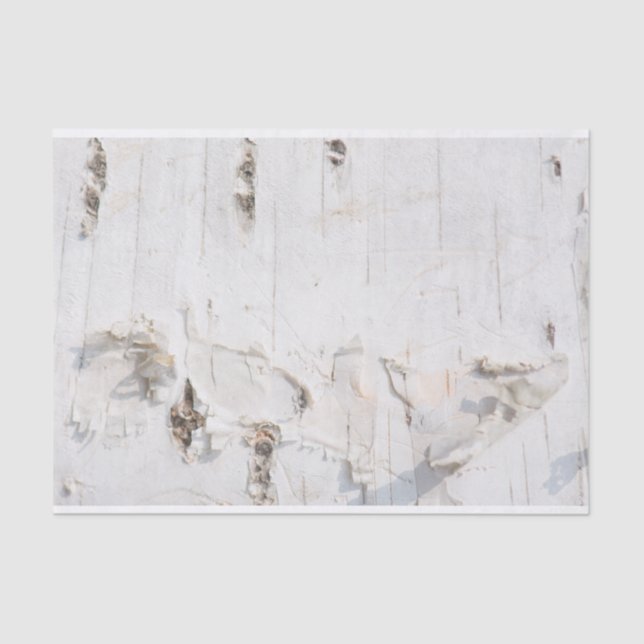 Birch bark pattern tissue paper (Front)