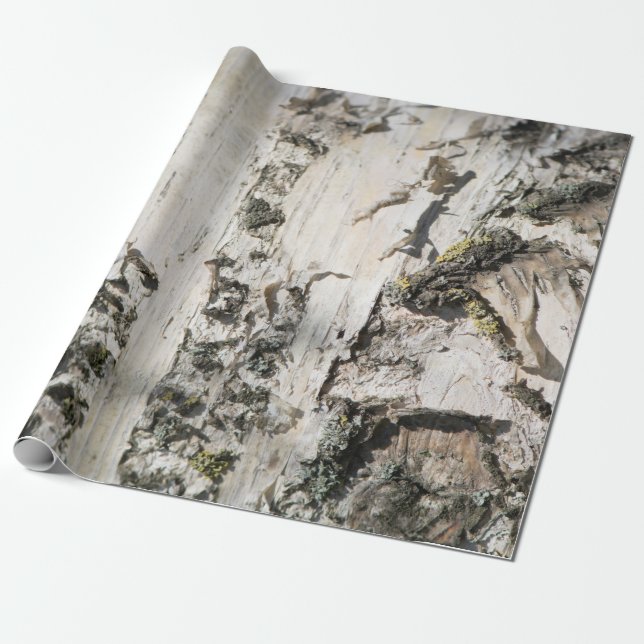 Birch bark pattern wrapping paper (Unrolled)