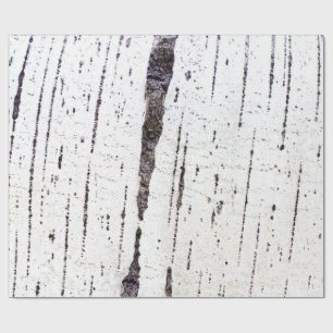 Birch bark pattern wrapping paper