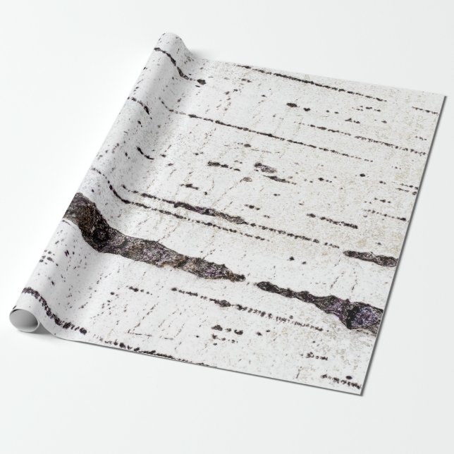 Birch bark pattern wrapping paper (Unrolled)