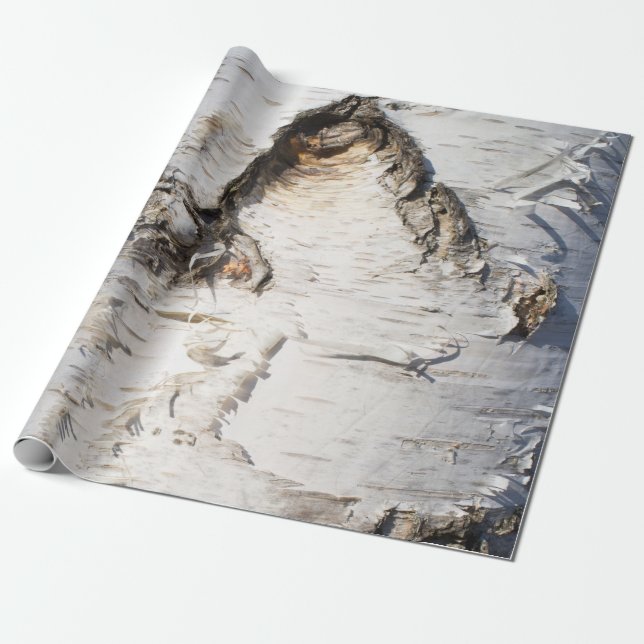 Birch bark pattern wrapping paper (Unrolled)
