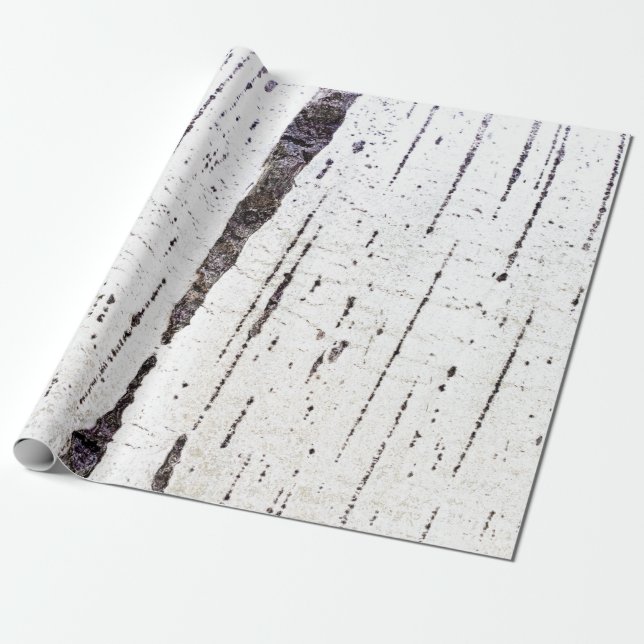 Birch bark pattern wrapping paper (Unrolled)