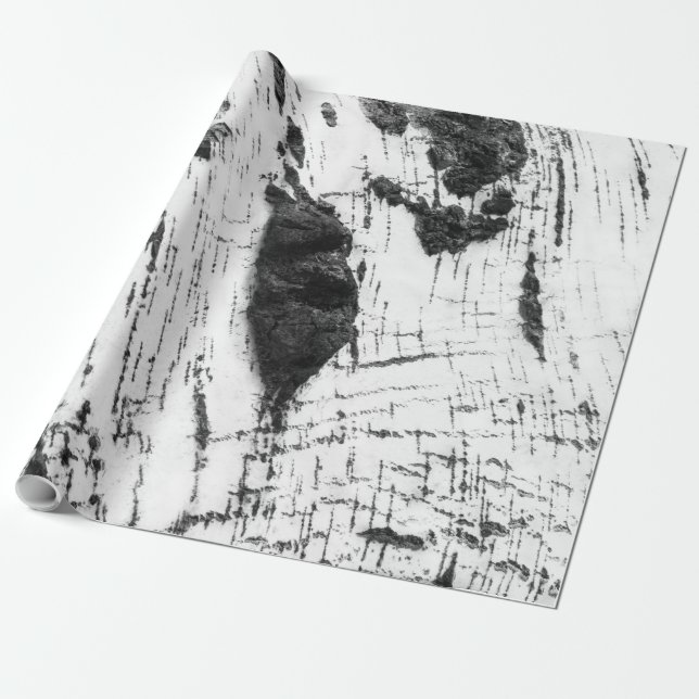 Birch bark pattern wrapping paper (Unrolled)