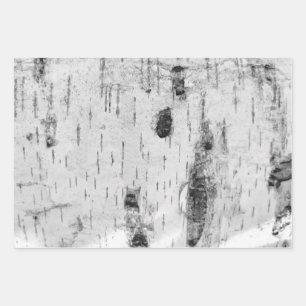Birch bark pattern wrapping paper sheets