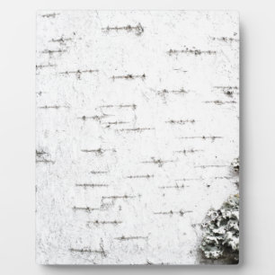 Birch bark plaque