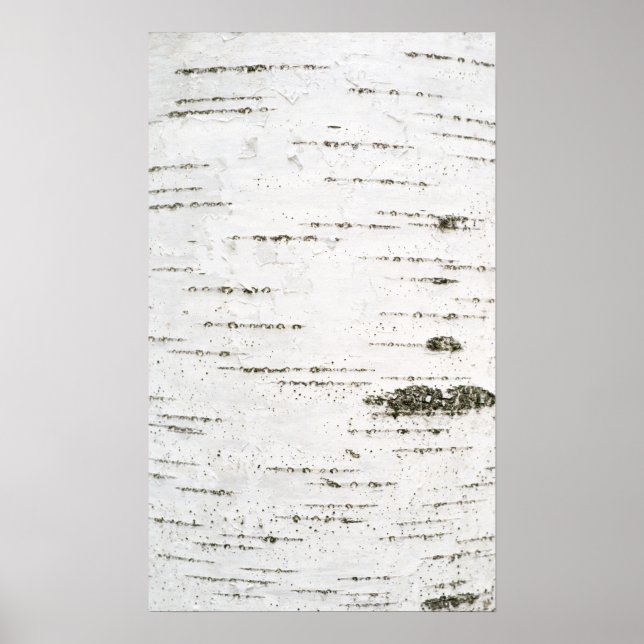 Birch bark poster (Front)
