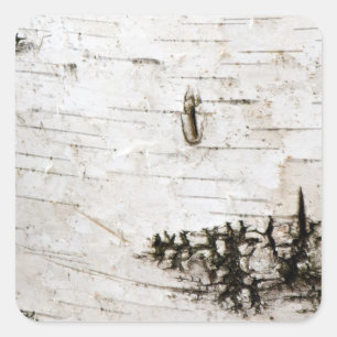 Birch bark square sticker