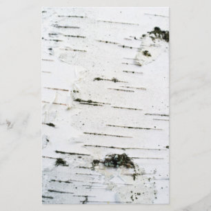 Birch bark stationery