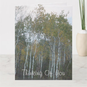 Birch Bark Thinking Of You Card