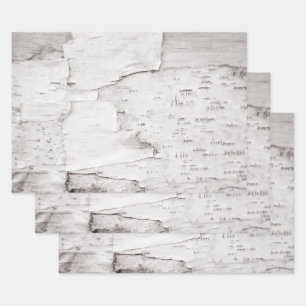 Birch Bark Tree White Rustic Country Woodland Wrapping Paper Sheet
