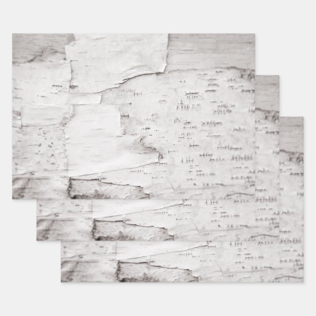 Birch Bark Tree White Rustic Country Woodland Wrapping Paper Sheet (Set)
