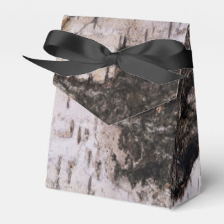 Birch Bark - wood texture nature photo Favour Box