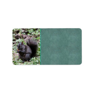 Birch Bay Squirrel Label
