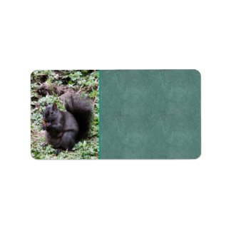 Birch Bay Squirrel Label
