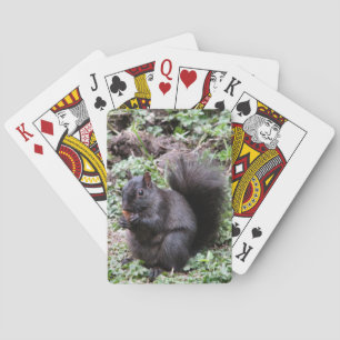 BIRCH BAY SQUIRREL PLAYING CARDS