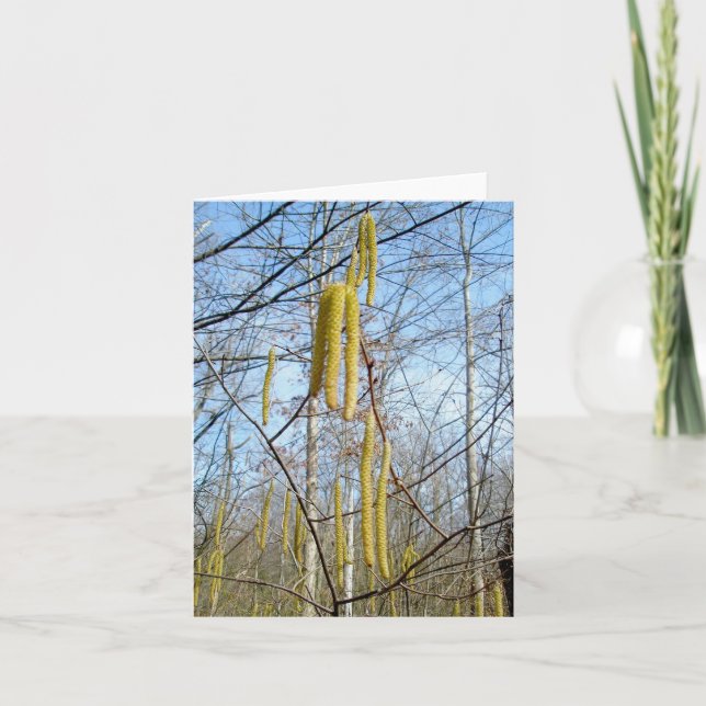 Birch Catkins Note Card (Front)
