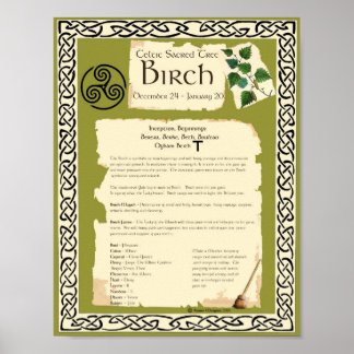 BIRCH CELTIC SACRED TREE POSTER