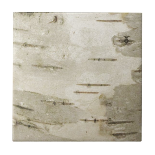 Birch Ceramic Tile (Front)