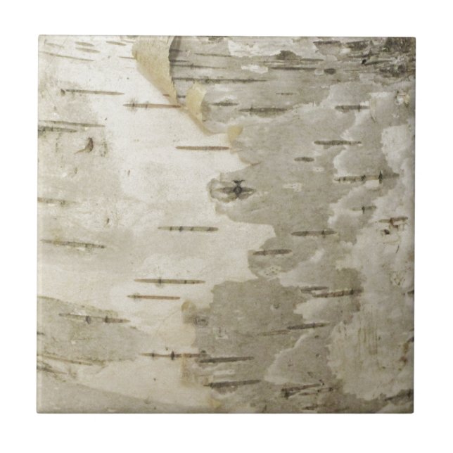 Birch Ceramic Tile (Front)
