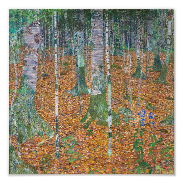 Birch Forest | Gustav Klimt | Photo Print (Front)