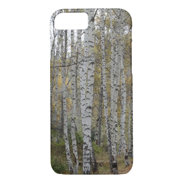 Birch forest Photo Apple iPhone 8/7, Barely There Case-Mate iPhone Case (Back)