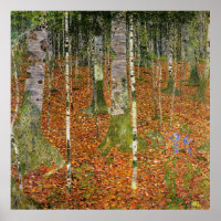 Birch Forest