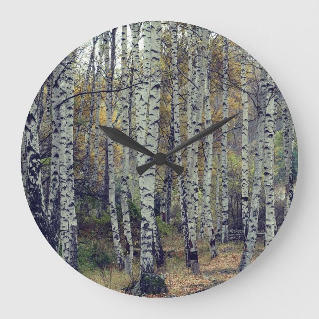 Birch Forrest Autumn Photo Round  Wall Clock (Front)