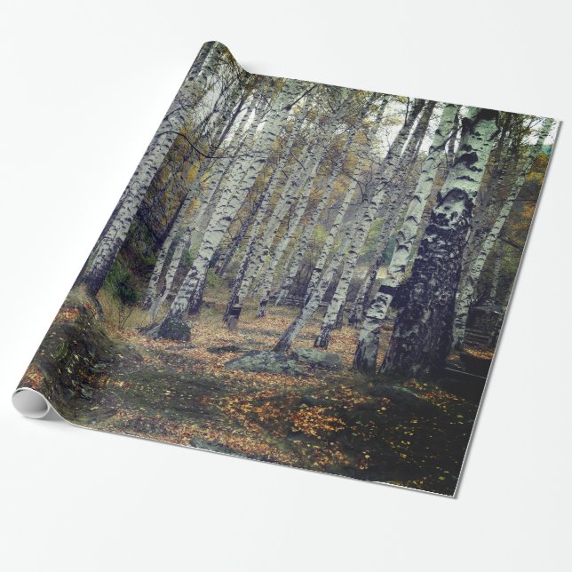 Birch Forrest Glossy Wrapping Paper, 30 in x 6 ft Paper (Unrolled)