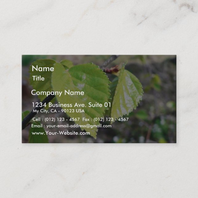 Birch Leaves Green Leaves Business Card (Front)