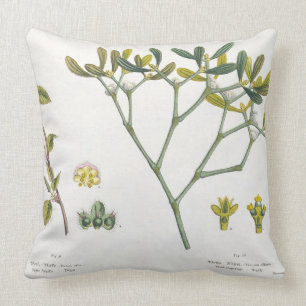 Birch (left) and Mistletoe (right), fig. 9 and 10 Cushion
