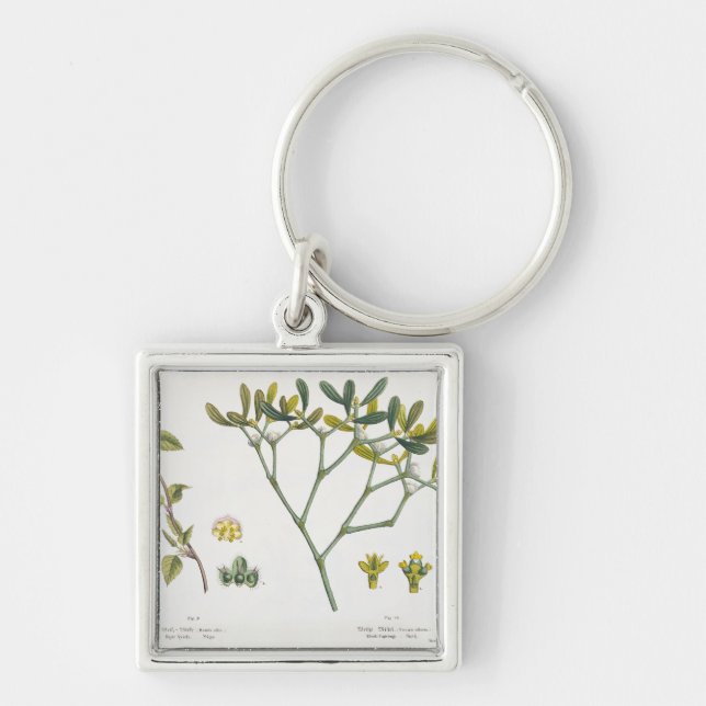Birch (left) and Mistletoe (right), fig. 9 and 10 Key Ring (Front)