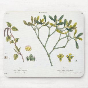 Birch (left) and Mistletoe (right), fig. 9 and 10 Mouse Pad