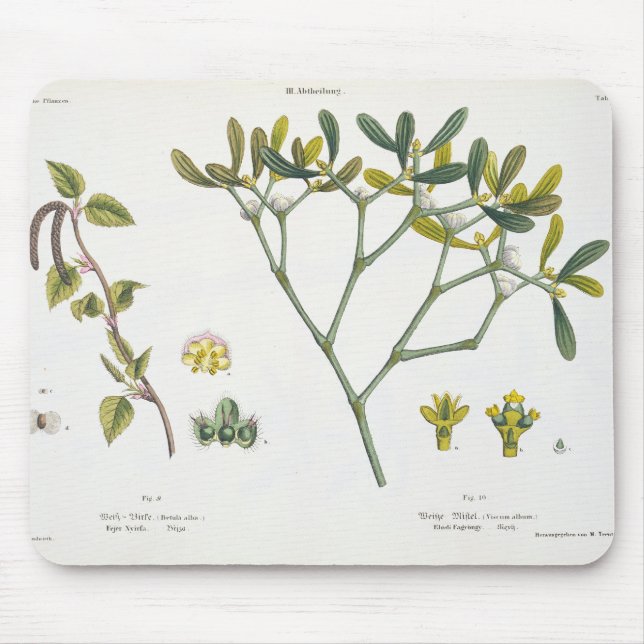 Birch (left) and Mistletoe (right), fig. 9 and 10 Mouse Pad (Front)