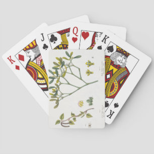 Birch (left) and Mistletoe (right), fig. 9 and 10 Playing Cards