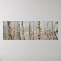 BIRCH