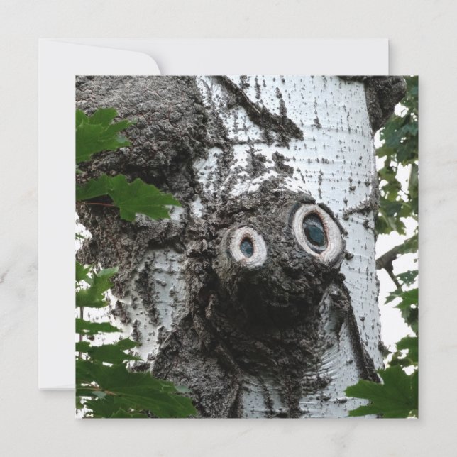 Birch Soul Tree Magic Face Photography Invitation (Front)